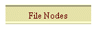 File Nodes