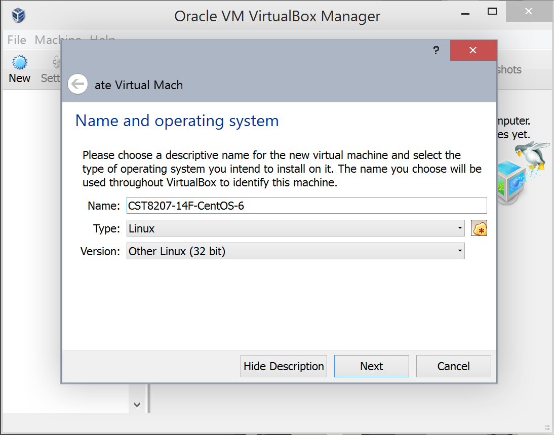 Set the Name, Type, and Version of your new VM