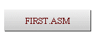 FIRST.ASM