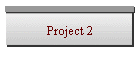 Project 2